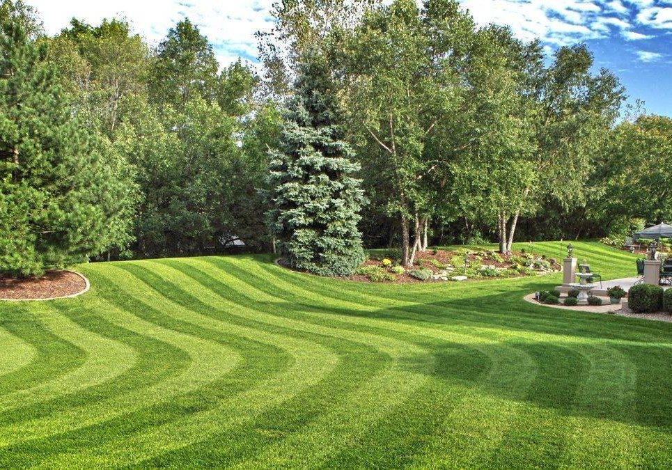 360 Landscaping Striped Lawncare